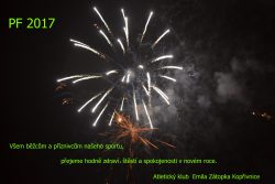 pf-2017-1